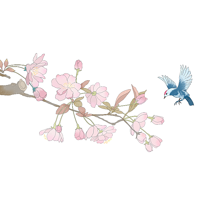 手绘粉红色樱花桃花梅花花朵PNG免抠素材