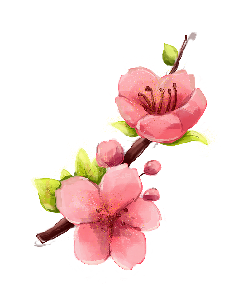 手绘粉红色樱花桃花梅花花朵PNG免抠