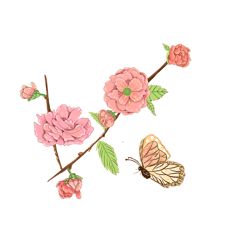手绘粉红色樱花桃花梅花花朵PNG免抠