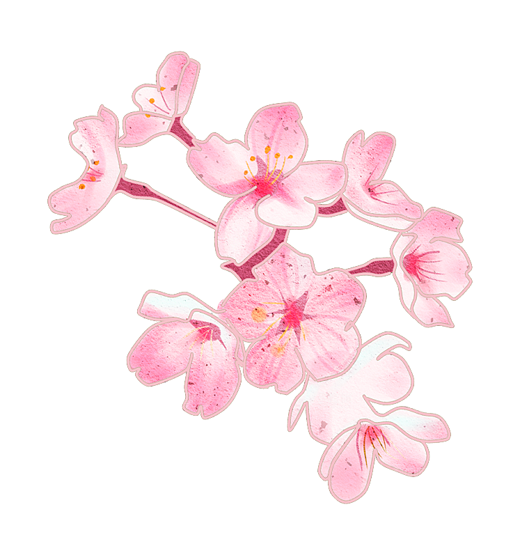 手绘粉红色樱花桃花梅花花朵PNG免抠素材