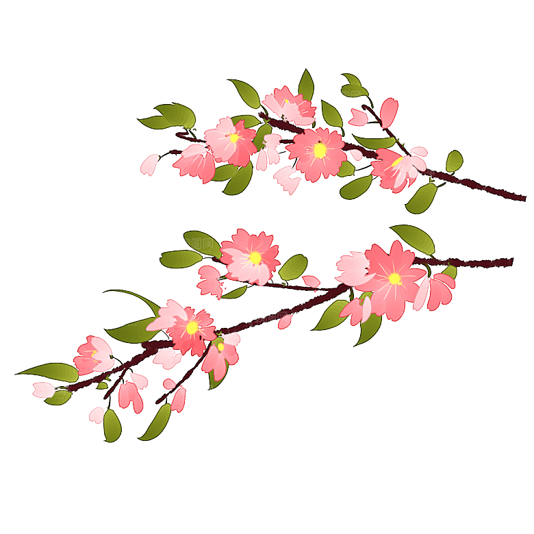 手绘粉红色樱花桃花梅花花朵PNG免抠