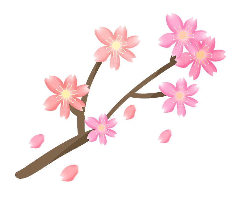 手绘粉红色樱花桃花梅花花朵PNG免抠素材