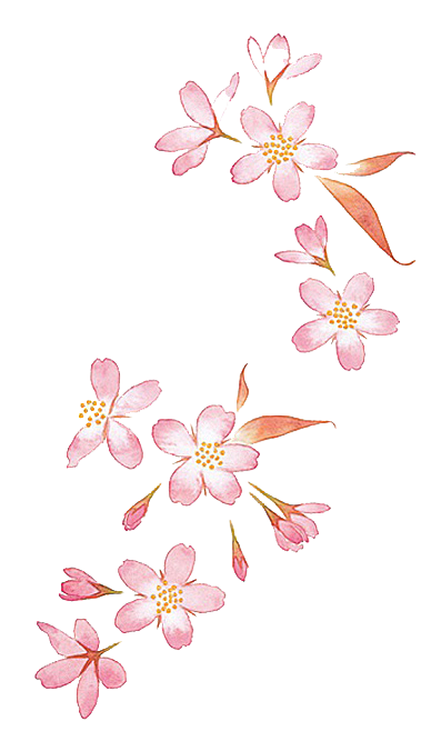 手绘粉红色樱花桃花梅花花朵PNG免抠素材