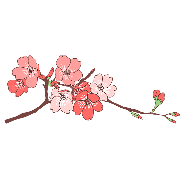 手绘粉红色樱花桃花梅花花朵PNG免抠素材