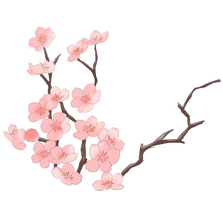手绘粉红色樱花桃花梅花花朵PNG免抠素材