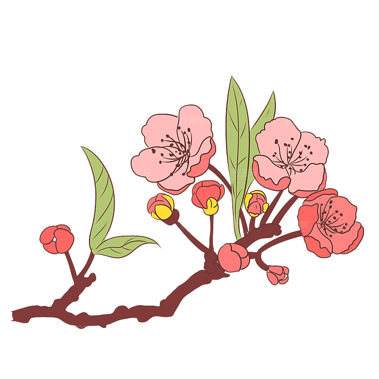 手绘粉红色樱花桃花梅花花朵PNG免抠素材