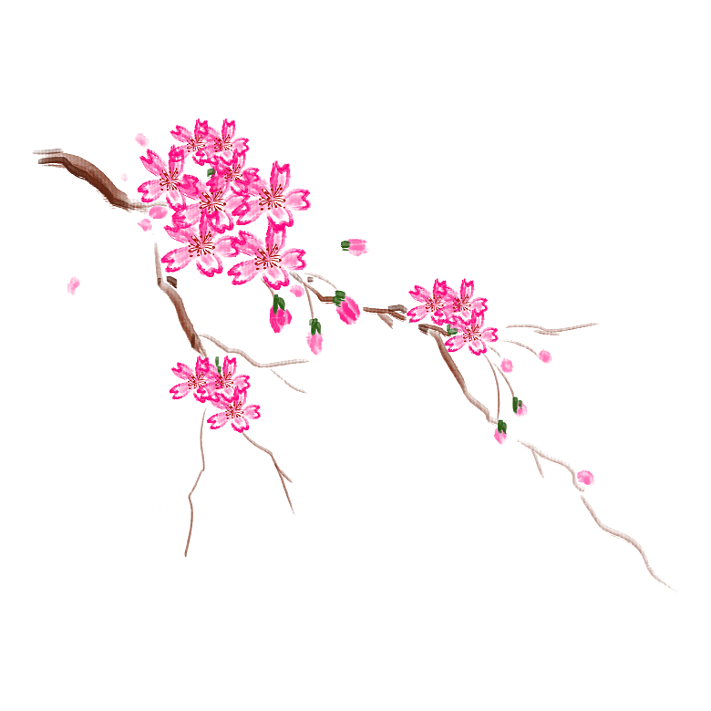 手绘粉红色樱花桃花梅花花朵PNG免抠