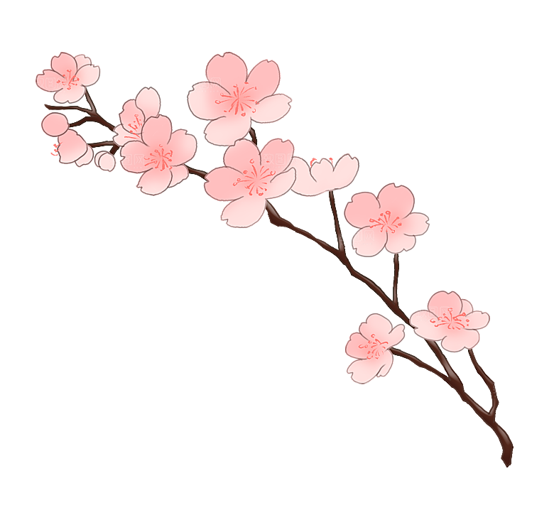 手绘粉红色樱花桃花梅花花朵PNG免抠
