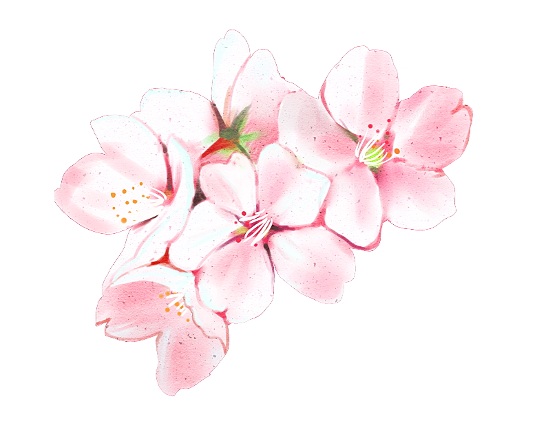 手绘粉红色樱花桃花梅花花朵PNG免抠