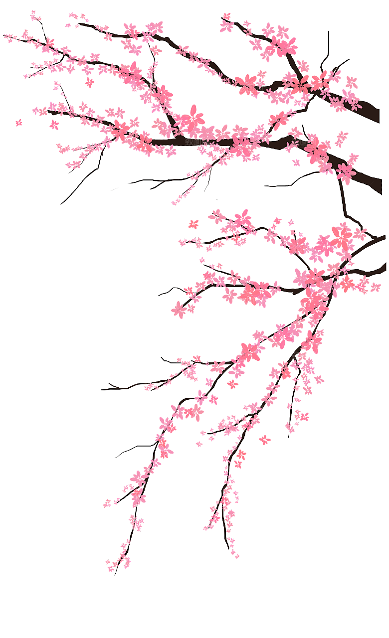 手绘粉红色樱花桃花梅花花朵PNG免抠