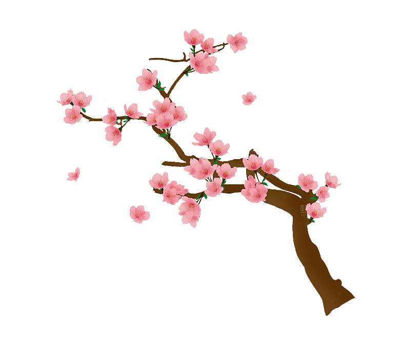 手绘粉红色樱花桃花梅花花朵PNG免抠