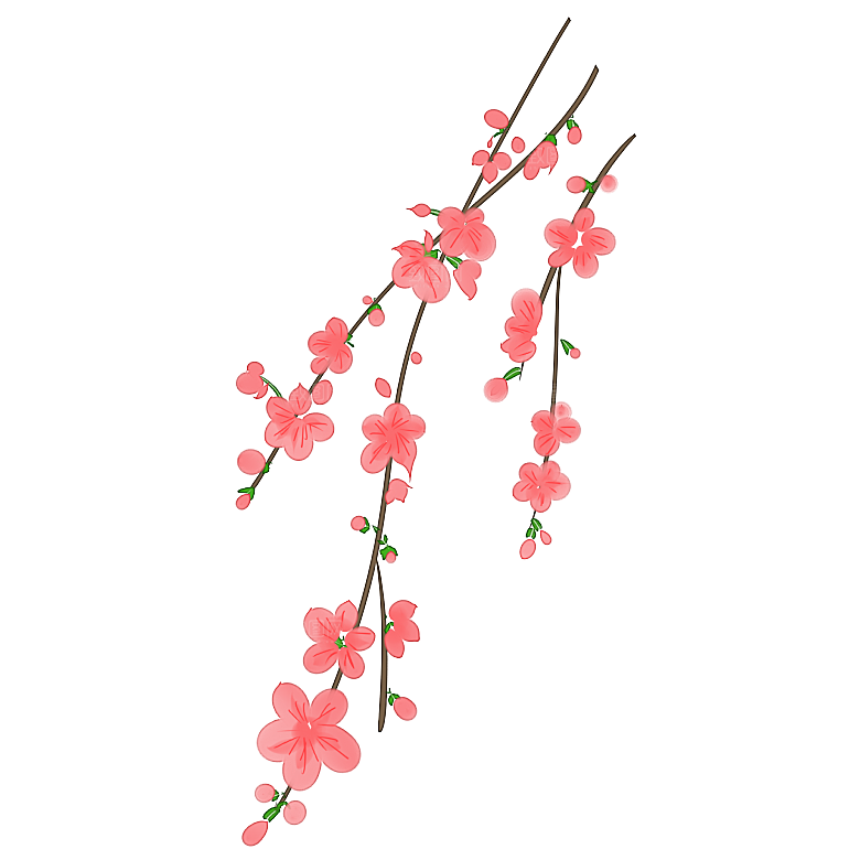 手绘粉红色樱花桃花梅花花朵PNG免抠图片