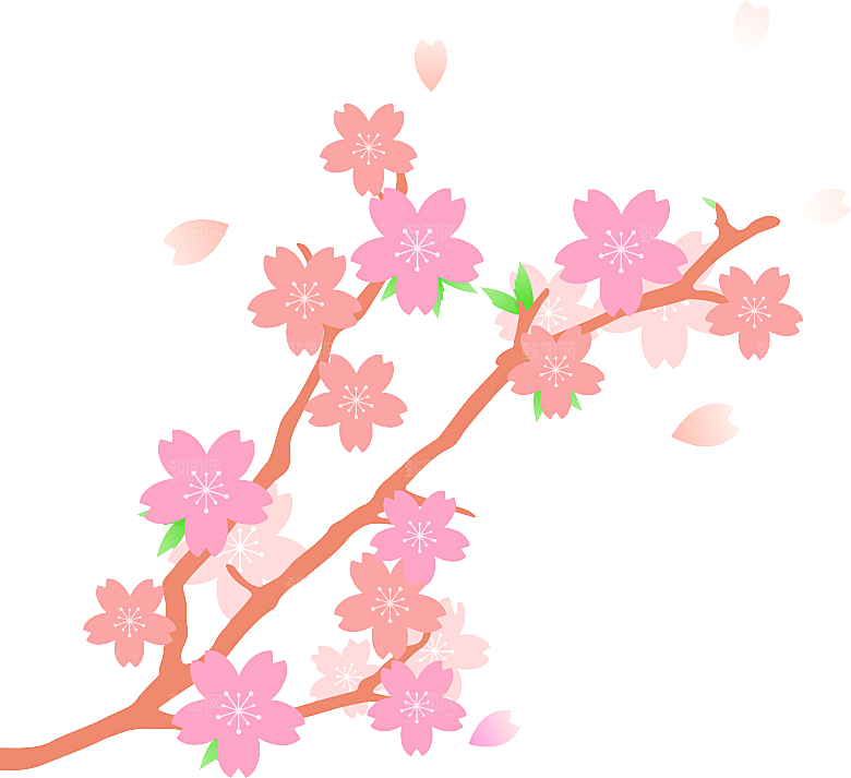 手绘粉红色樱花桃花梅花花朵PNG免抠图片