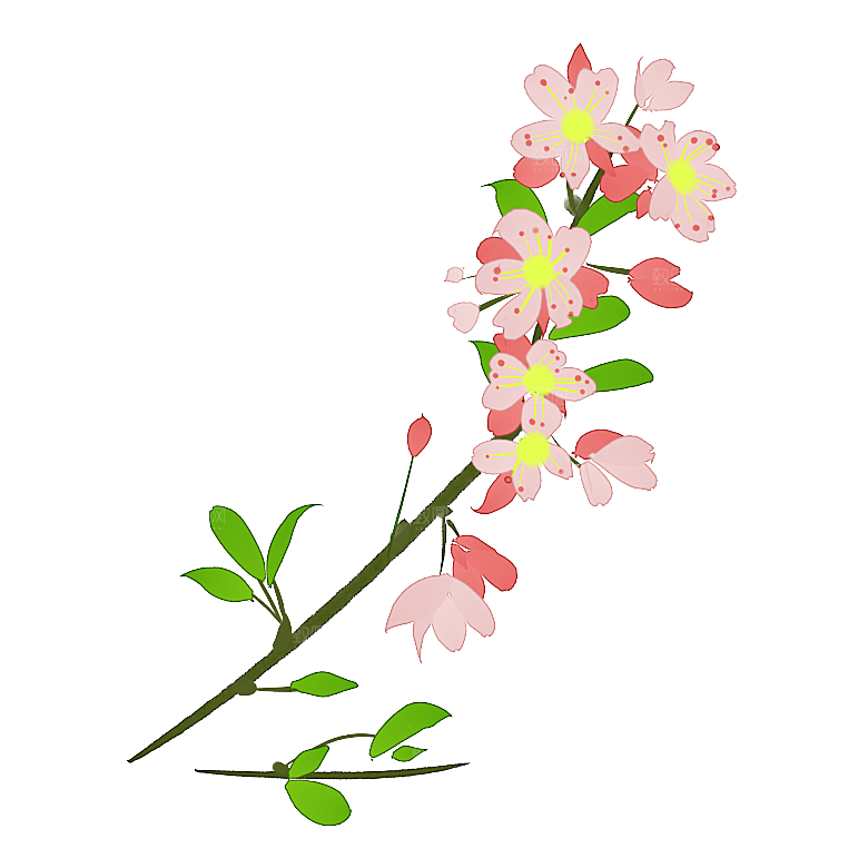 手绘粉红色樱花桃花梅花花朵PNG免抠图片