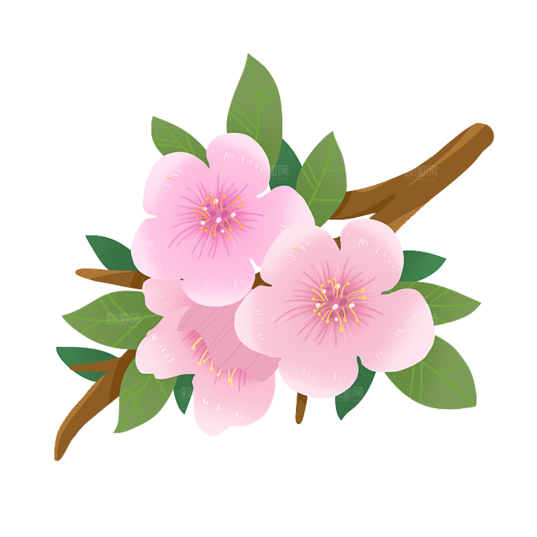 手绘粉红色樱花桃花梅花花朵PNG免抠图片
