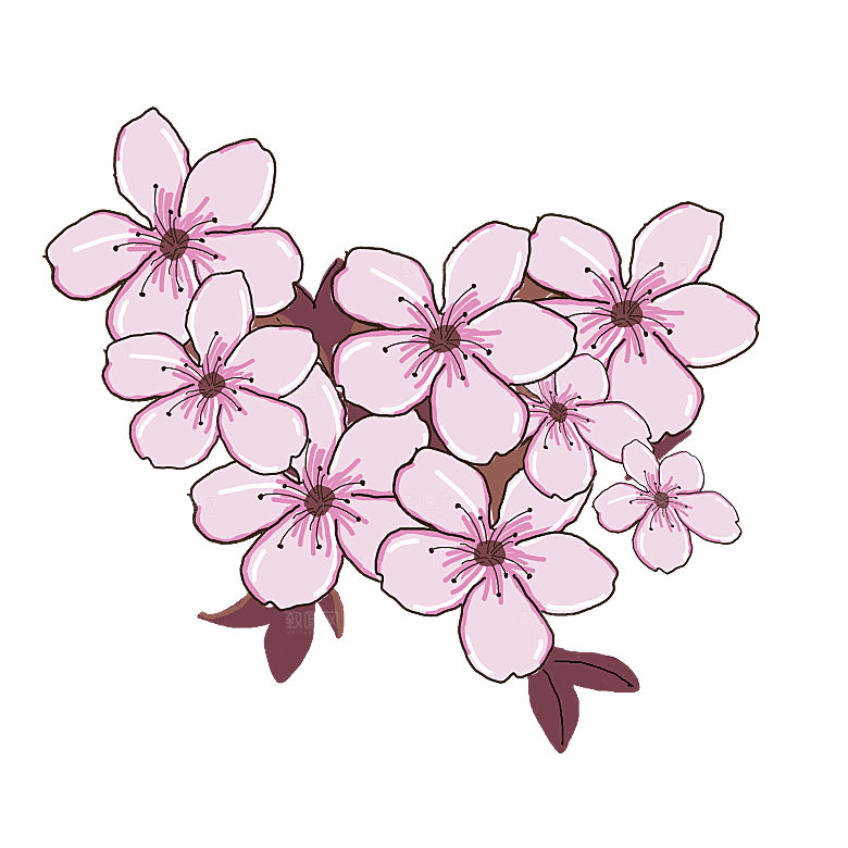 手绘粉红色樱花桃花梅花花朵PNG免抠图片