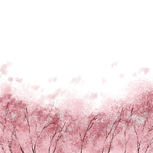 手绘粉红色樱花桃花梅花花朵PNG免抠图片