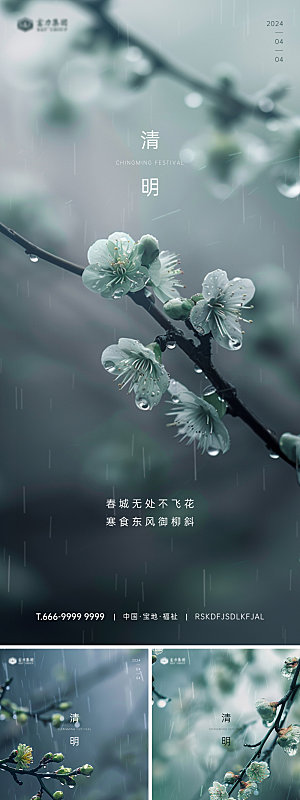 雨中花清明节气海报