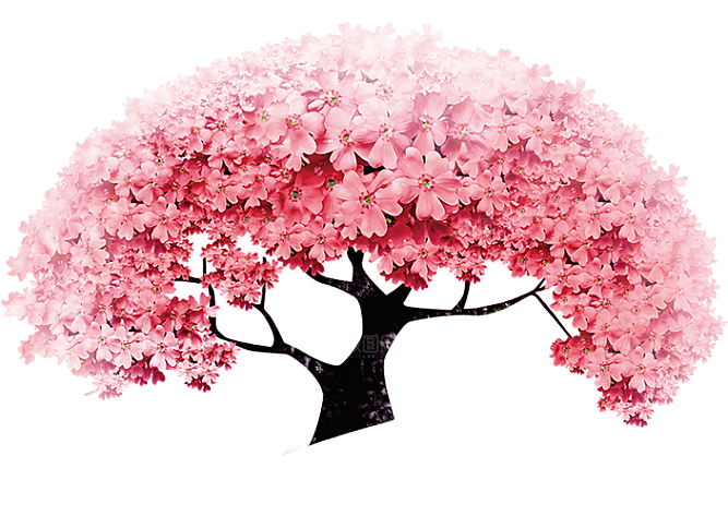 浪漫樱花树桃花插图背景PNG免抠