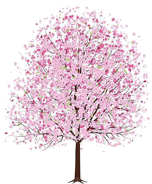浪漫樱花树桃花插图背景PNG免抠素材