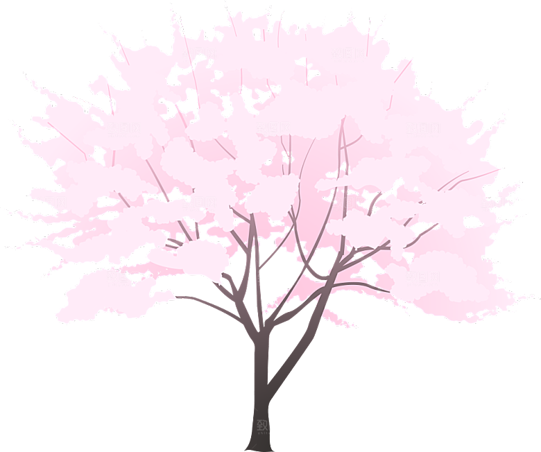 浪漫樱花树桃花插图背景PNG免抠素材