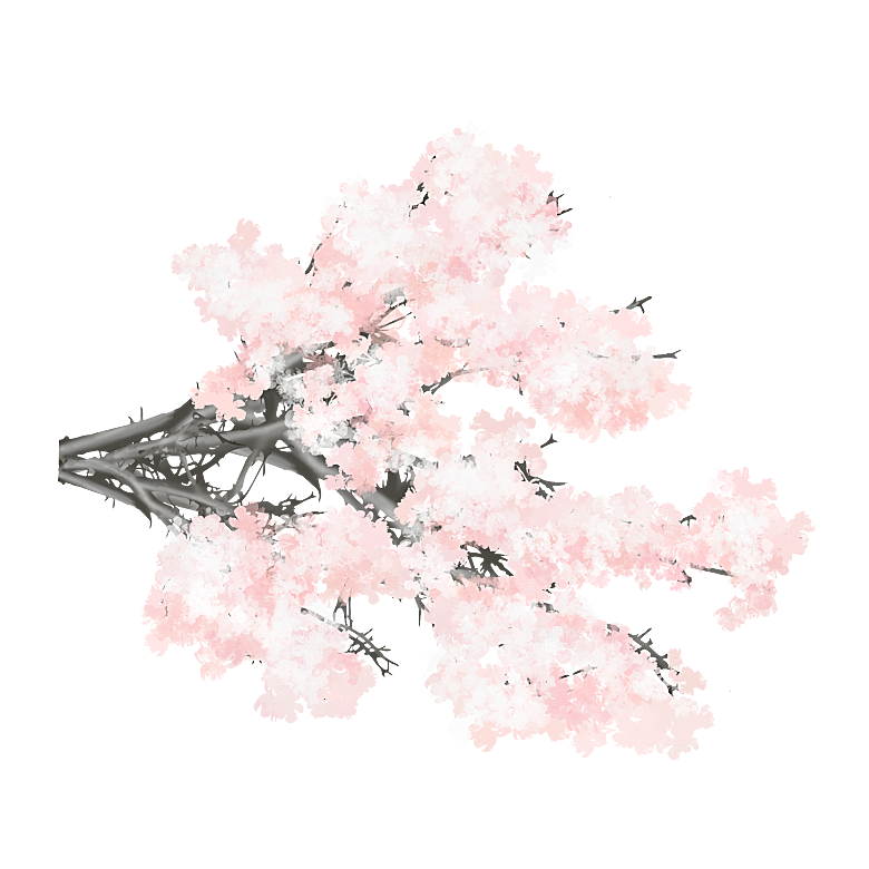 浪漫樱花树桃花插图背景PNG免抠素材