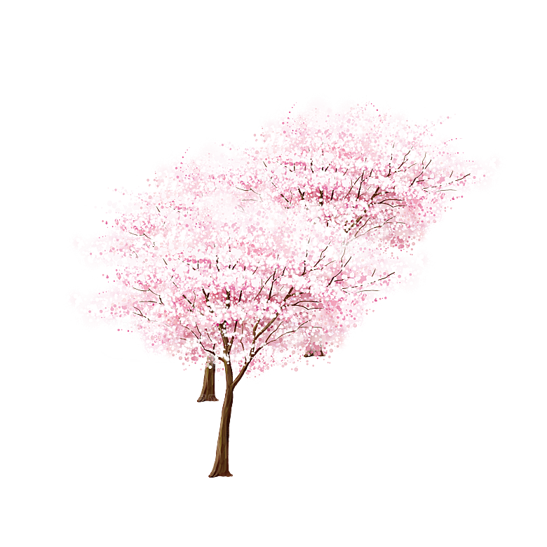 浪漫樱花树桃花插图背景PNG免抠素材