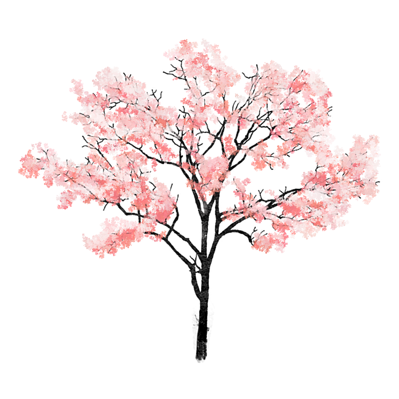 浪漫樱花树桃花插图背景PNG免抠