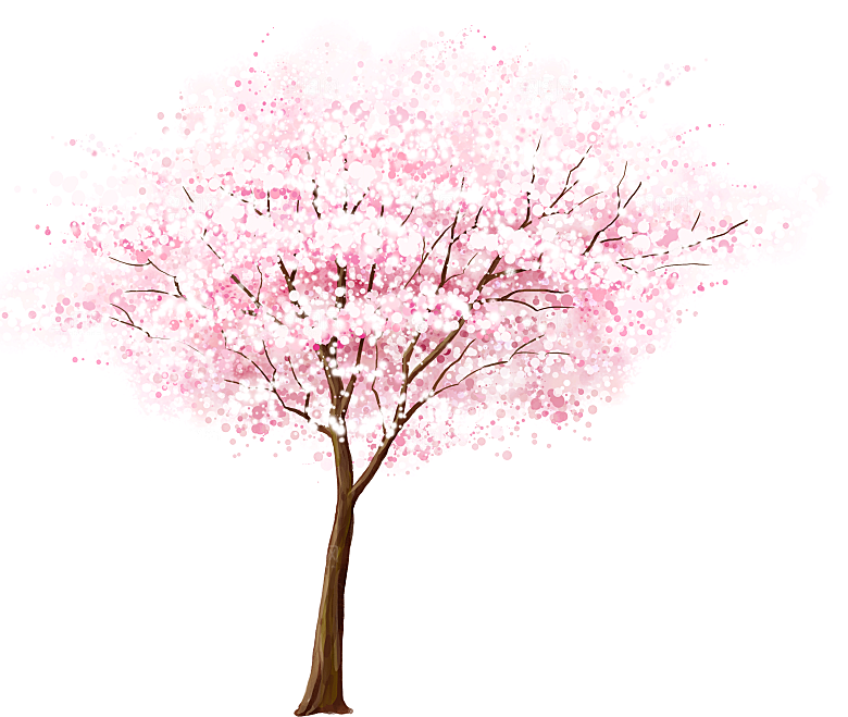 浪漫樱花树桃花插图背景PNG免抠