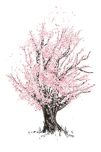浪漫樱花树桃花插图背景PNG免抠