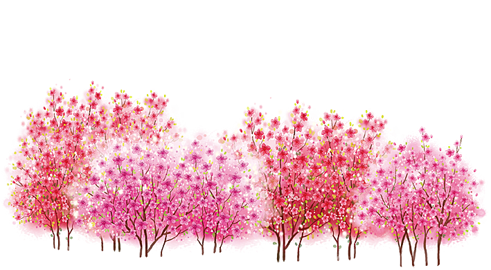 浪漫樱花树桃花插图背景PNG免抠