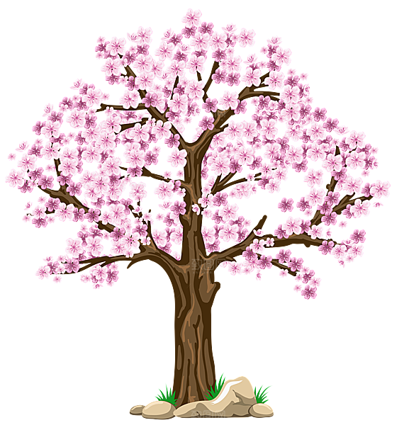 浪漫樱花树桃花插图背景PNG免抠素材