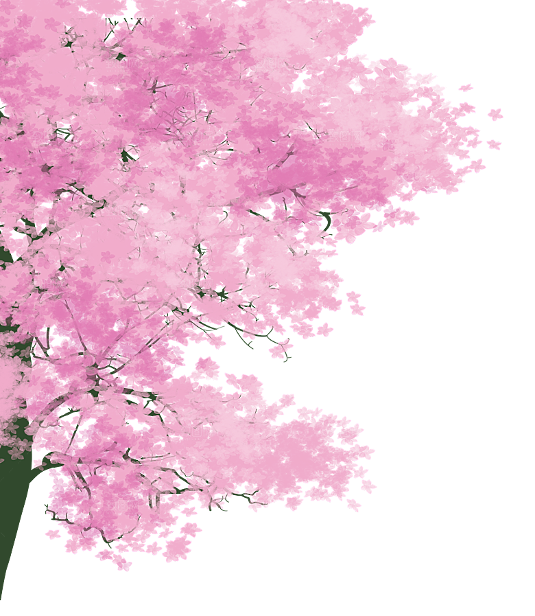 浪漫樱花树桃花插图背景PNG免抠素材