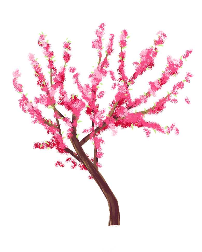 浪漫樱花树桃花插图背景PNG免抠素材
