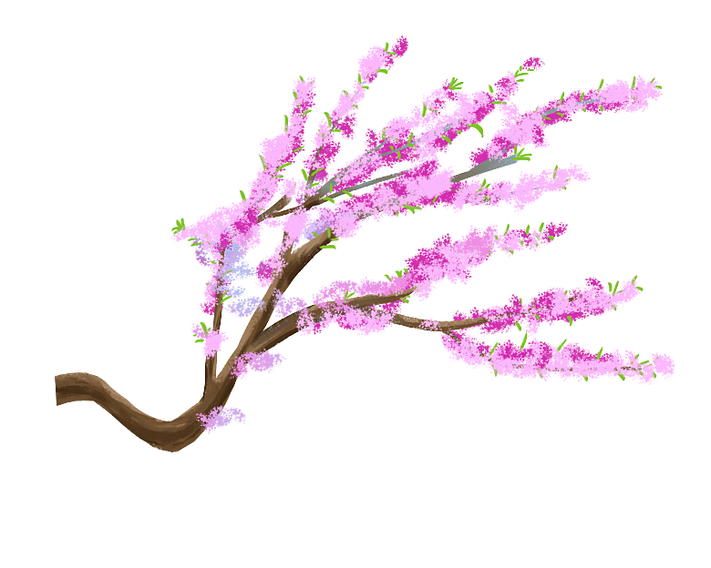 浪漫樱花树桃花插图背景PNG免抠