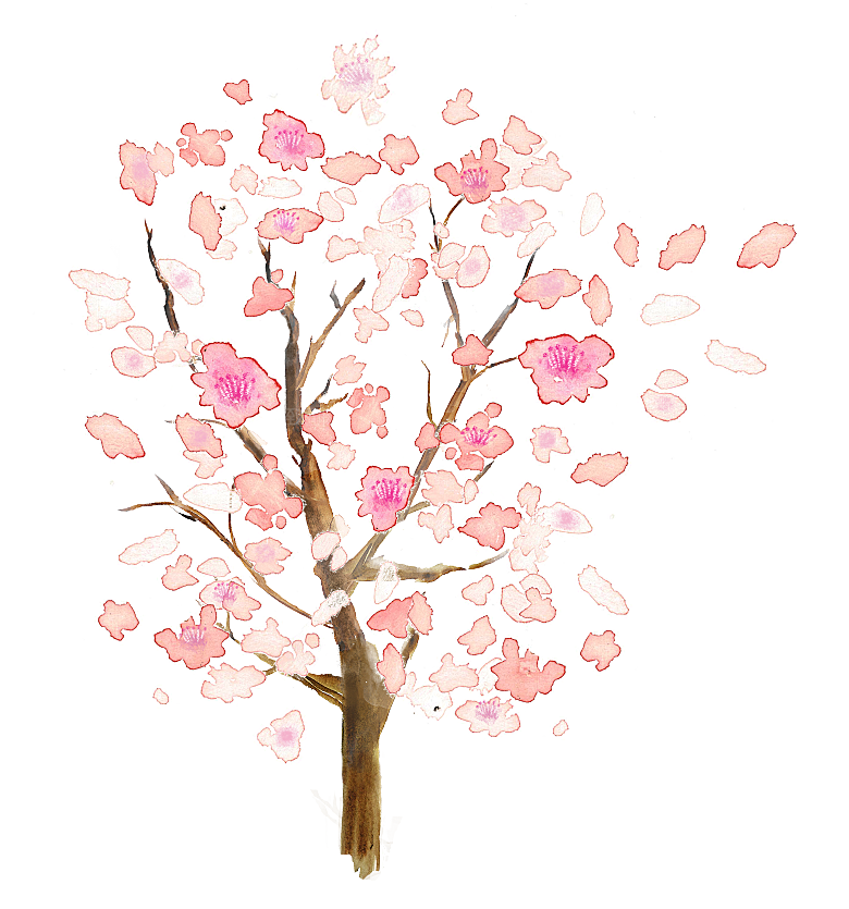 浪漫樱花树桃花插图背景PNG免抠