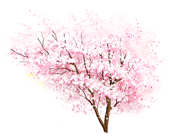 浪漫樱花树桃花插图背景PNG免抠素材