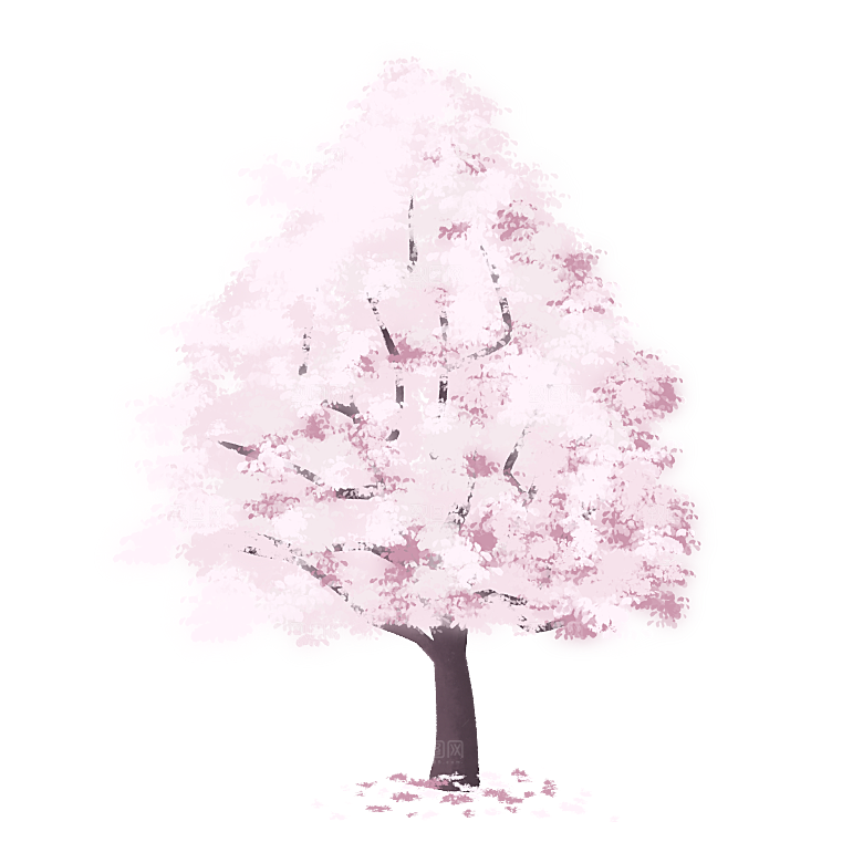 浪漫樱花树桃花插图背景PNG免抠素材