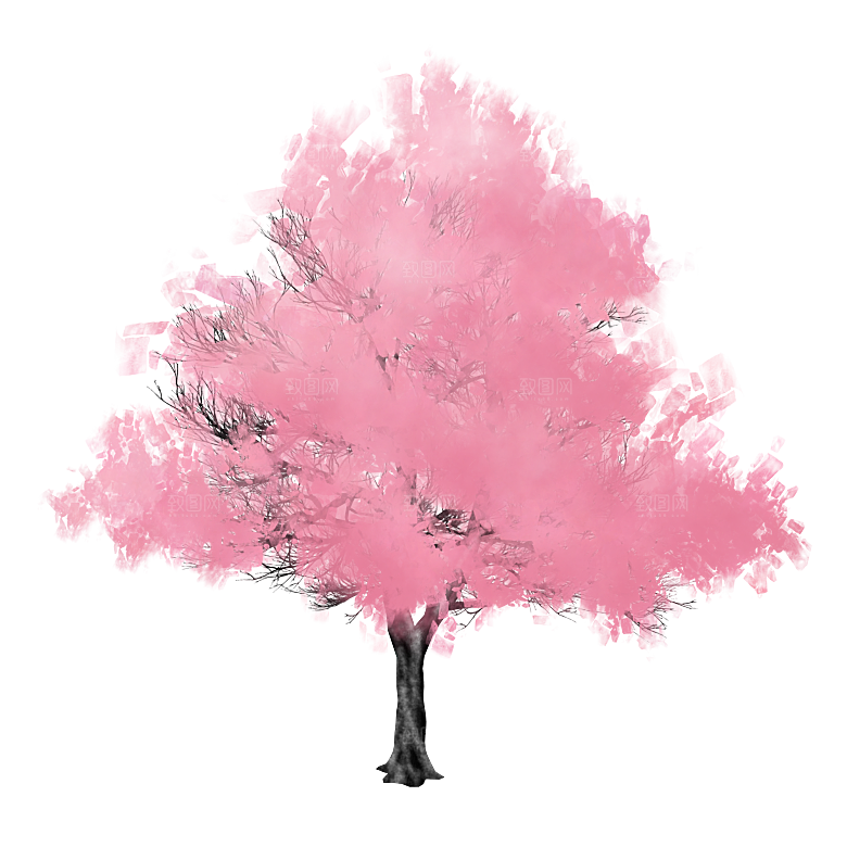 浪漫樱花树桃花插图背景PNG免抠素材
