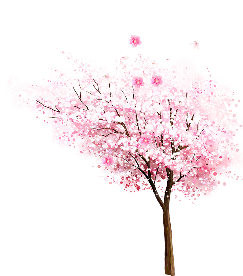 浪漫樱花树桃花插图背景PNG免抠素材