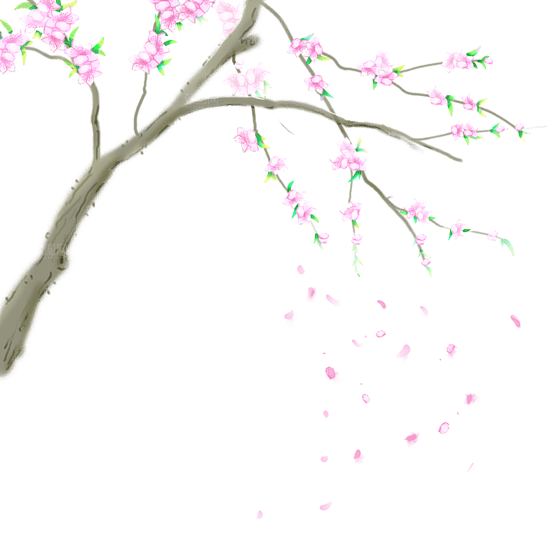 浪漫樱花树桃花插图背景PNG免抠素材