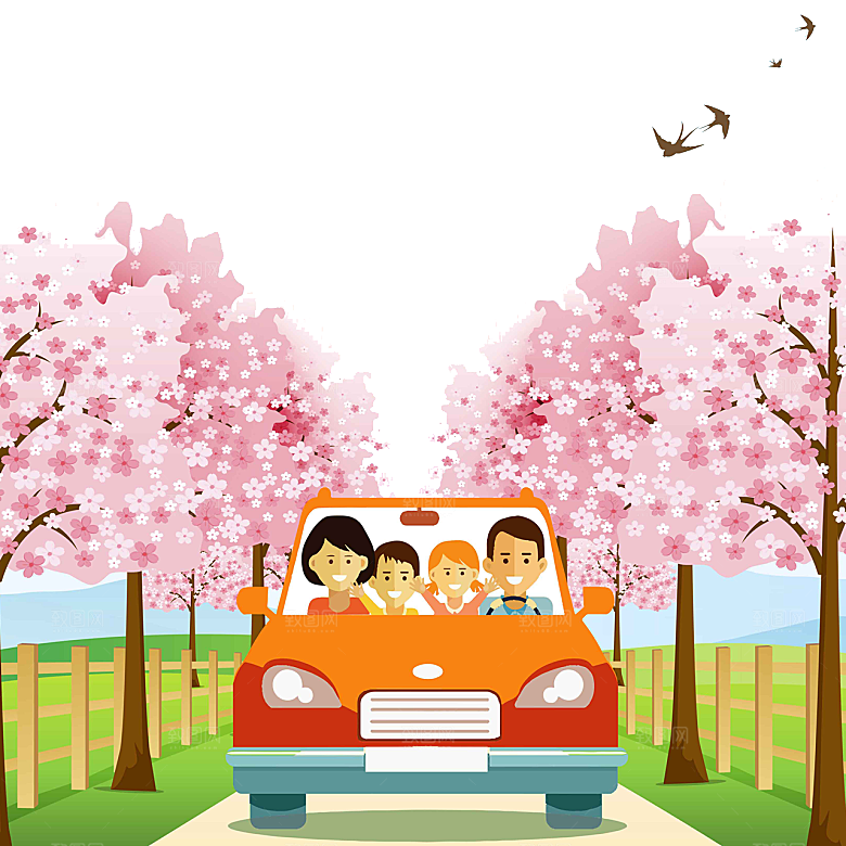 浪漫樱花树桃花插图背景PNG免抠