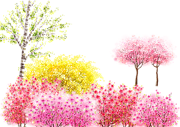 浪漫樱花树桃花插图背景PNG免抠