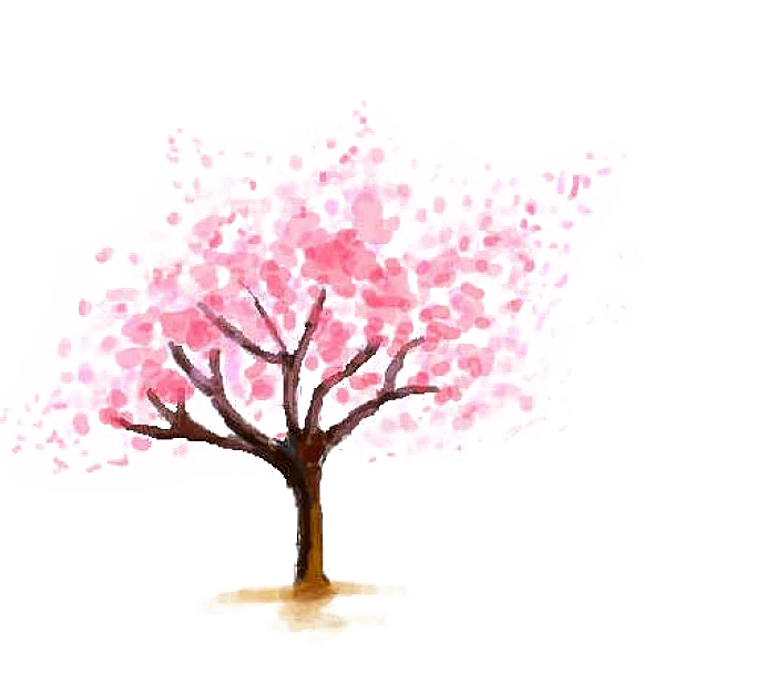 浪漫樱花树桃花插图背景PNG免抠素材