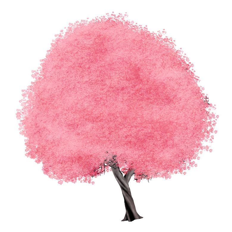 浪漫樱花树桃花插图背景PNG免抠