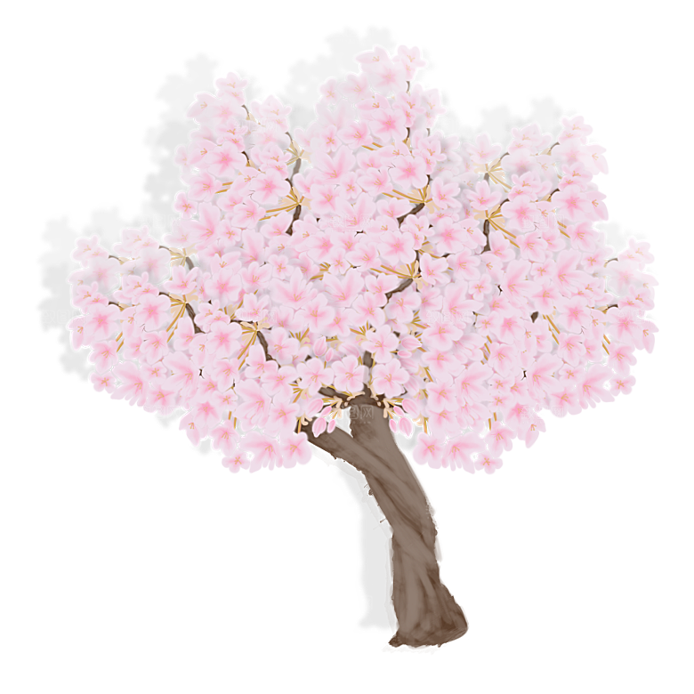 浪漫樱花树桃花插图背景PNG免抠
