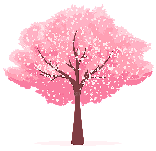 浪漫樱花树桃花插图背景PNG免抠素材