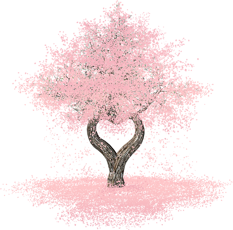 浪漫樱花树桃花插图背景PNG免抠素材