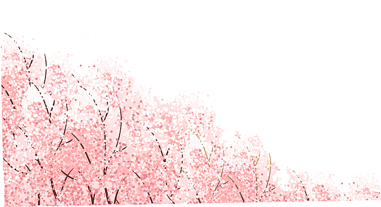 浪漫樱花树桃花插图背景PNG免抠素材