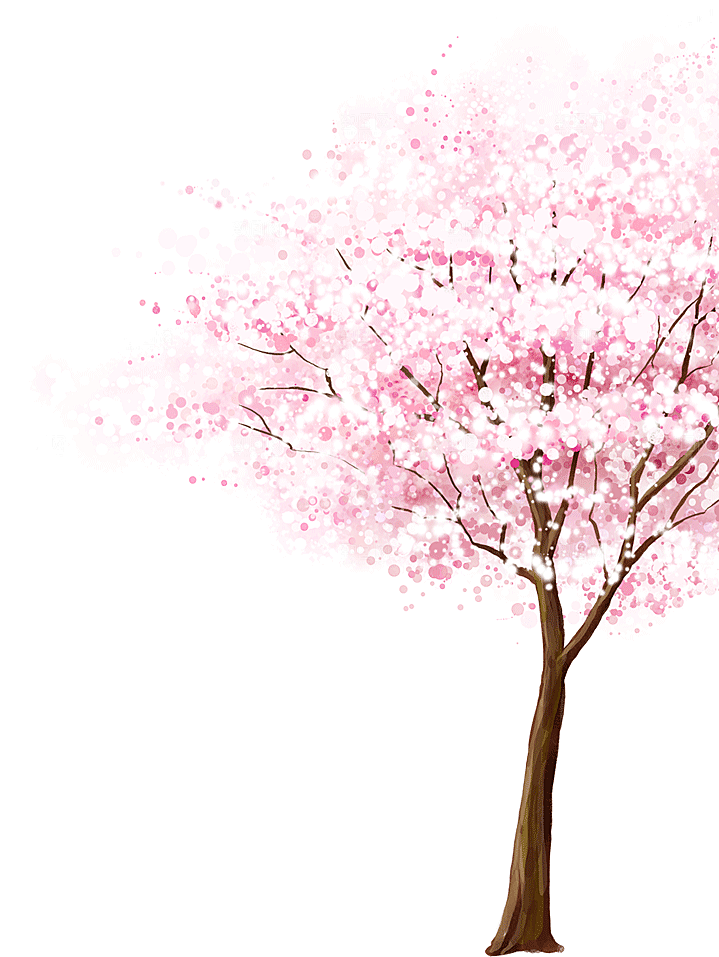 浪漫樱花树桃花插图背景PNG免抠